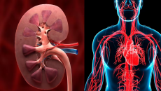 Giải mã nguy cơ suy tim ở người bệnh thận mạn tính
