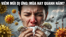Viêm mũi dị ứng: Vì sao có người bị theo mùa, người lại mắc quanh năm?