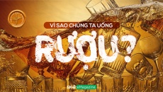 Vì sao chúng ta uống rượu?