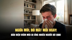 Hắt xì hơi liên tục, ngứa mắt: Có phải viêm mũi dị ứng?