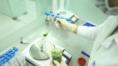 Gỡ vướng Nghị định 46: Bộ Y tế công bố 34 cơ sở kiểm nghiệm thực phẩm