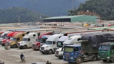 Thủ tướng chỉ đạo khẩn gỡ vướng Nghị định 46 về an toàn thực phẩm