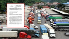 Chính phủ quyết định tạm ngưng hiệu lực và điều chỉnh thời hiệu Nghị định 46