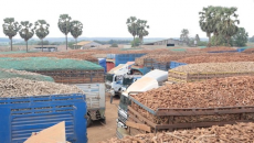 VCCI: Hội thảo “Tháo gỡ vướng mắc trong triển khai Luật An toàn thực phẩm”