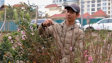 Infographic: Dân dân cần chuẩn bị gì để chuyển tiếp dịp Tết?