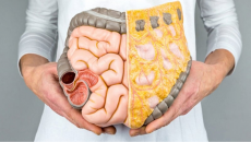 6 dưỡng chất giúp kiểm soát mỡ nội tạng