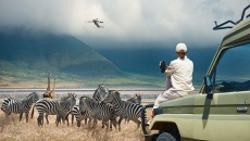 Chọn du lịch hoang dã có trách nhiệm để bảo tồn sinh thái