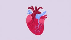 Tăng huyết áp và hở van tim nên điều trị thế nào?