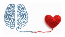 Tim yếu trí nhớ cũng giảm: Sự thật ít được nói đến