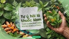 Tự ý hái lá thuốc Nam: Thói quen phổ biến, rủi ro khó lường!