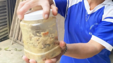 Thêm 2 ca ngộ độc cá ủ chua ở Đà Nẵng, Bộ Y tế chỉ đạo khẩn