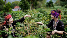 Du lịch Quảng Trị ngoài những điểm đến quen thuộc! (P2)