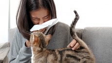 Cơ địa dị ứng có nuôi được chó mèo không?