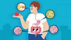 Vì sao hệ tiêu hóa 'chào thua' trước hạt ngô, nấm kim châm?