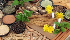 Thảo dược adaptogen hỗ trợ cơ thể ứng phó với căng thẳng