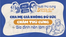 Cha mẹ già không đủ sức chăm thú cưng, gia đình nên làm gì?