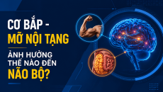Cơ bắp và mỡ nội tạng ảnh hưởng thế nào đến não bộ?