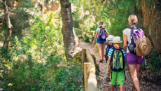 Khám phá 5 lợi ích vượt trội của bộ môn hiking 