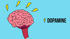 Dopamine giúp đảo ngược tình trạng Alzheimer?