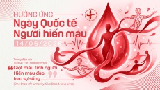 Khi sự sống hồi sinh từ những giọt máu tình nguyện