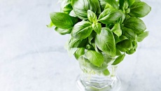 3 loại rau củ không nên cho vào tủ lạnh