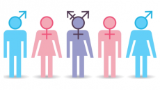Hormone liệu có quyết định xu hướng tình dục?