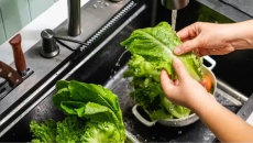 Rửa rau củ quả thế nào để loại bỏ ký sinh trùng Cyclospora?