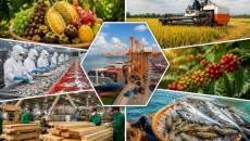 Bộ Y tế hướng dẫn kiểm tra nhà nước về an toàn thực phẩm nhập khẩu