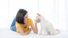Trò chuyện với thú cưng có phải là một hành vi kỳ quặc?