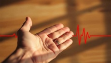 Tại sao tim đập nhanh, vã mồ hôi nhưng kiểm tra tim vẫn bình thường?