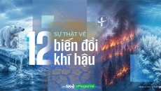 12 sự thật về biến đổi khí hậu