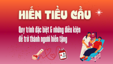 Hiến tiểu cầu: Quy trình đặc biệt và điều kiện để trở thành người hiến tặng