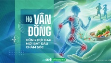 Hệ vận động - Đừng đợi đau mới bắt đầu chăm sóc