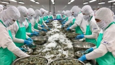 Tiếp tục tháo gỡ vướng mắc kiểm tra an toàn thực phẩm nhập khẩu