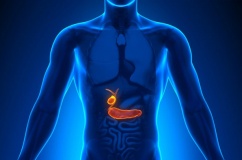 Sỏi lấp đầy túi mật, dùng TPBVSK Kim Đởm Khang được không?