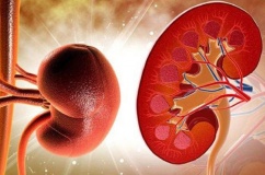 Người suy thận độ 2 sống được bao lâu?