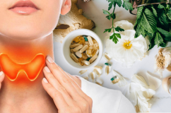 6 thảo mộc giúp tuyến giáp hoạt động nhịp nhàng hơn