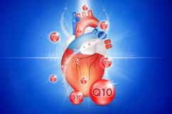 Bổ sung Co-enzyme Q10 có lợi với tim mạch ra sao?