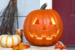 Bí ngô: Từ biểu tượng Halloween đến siêu thực phẩm