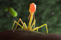 Công nghệ mới giúp tiêu diệt 99,9% vi khuẩn trong thực phẩm