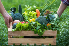 Lợi ích từ việc ăn uống theo mùa