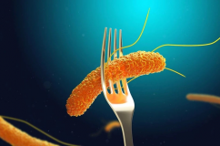 TP.HCM: Đã tìm ra 'thủ phạm' khiến hơn 80 người ngộ độc sau ăn bánh mì 