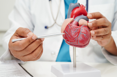 Hẹp van động mạch chủ không triệu chứng đã cần điều trị chưa?