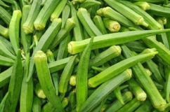 Đậu bắp: Bạn đồng hành của người bệnh đái tháo đường