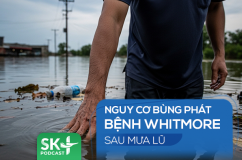 Podcast: Nguy cơ bùng phát bệnh Whitmore sau mưa lũ