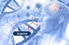 Nghiên cứu về dưỡng chất arginine mở ra hy vọng trì hoãn bệnh Alzheimer