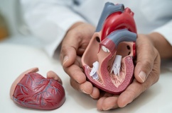 Hẹp van tim có chữa khỏi được không: Sự thật ít ai nói rõ!