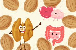 Infographic: Quả óc chó - Lợi ích và những điều cần lưu ý