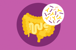 Hệ vi khuẩn đường ruột có vai trò gì với sức khỏe tổng thể?