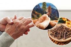 Vai trò của câu đằng và thiên ma trong hỗ trợ giảm run